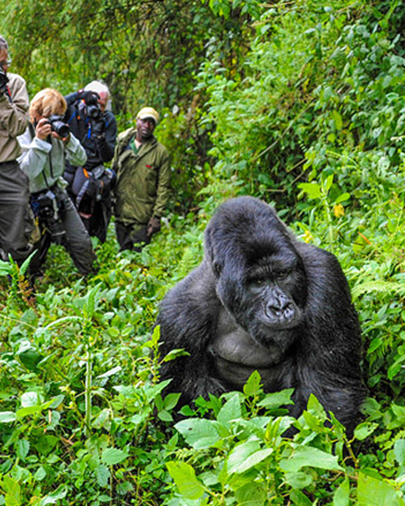 Uganda Destination